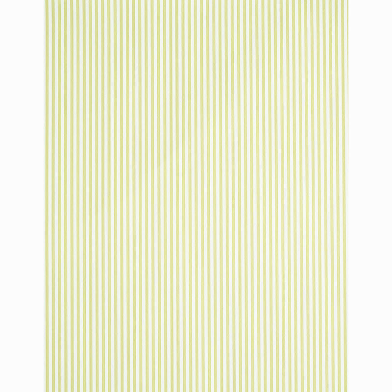 EDWIN STRIPE NARROW | Citron