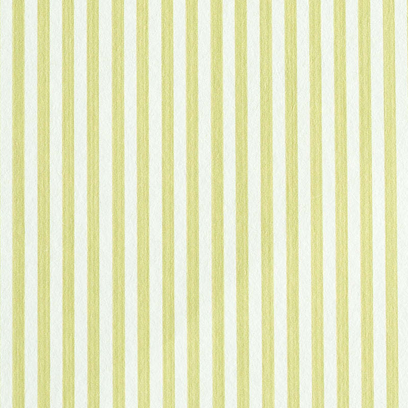 EDWIN STRIPE NARROW | CITRON