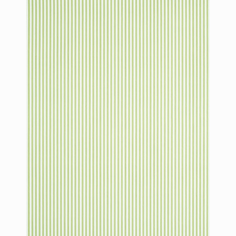 EDWIN STRIPE NARROW | LEAF