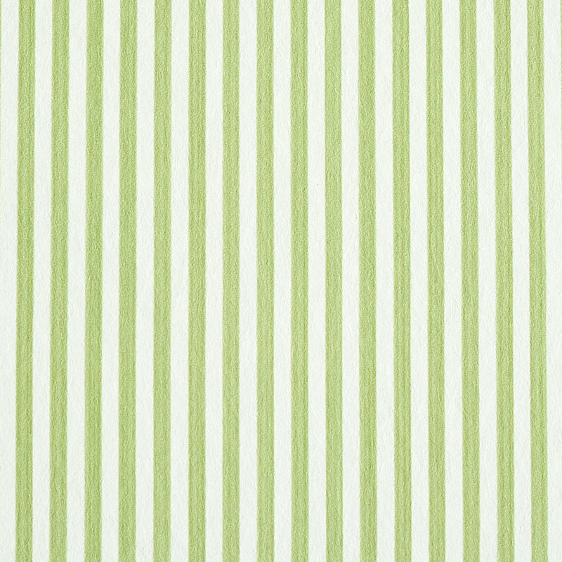 EDWIN STRIPE NARROW | Leaf