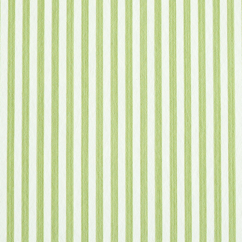 EDWIN STRIPE NARROW | LEAF