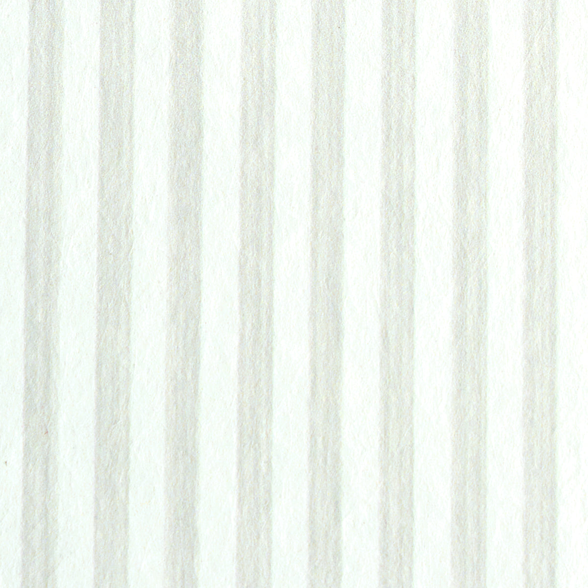 EDWIN STRIPE NARROW | Birch