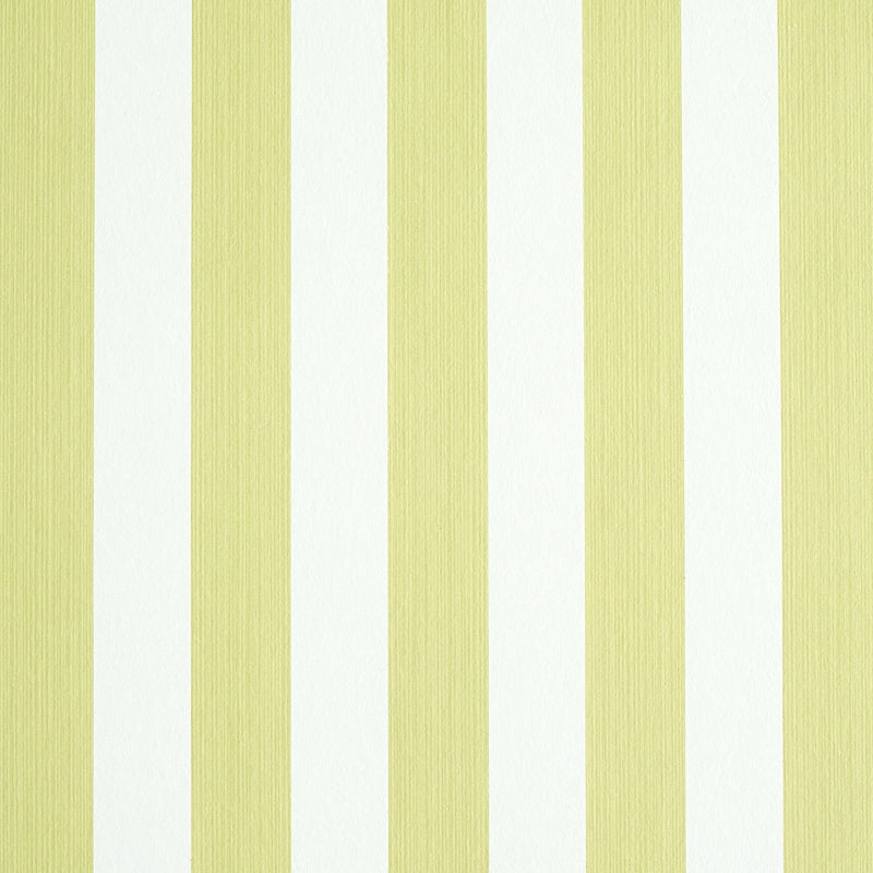 EDWIN STRIPE MEDIUM | CITRON