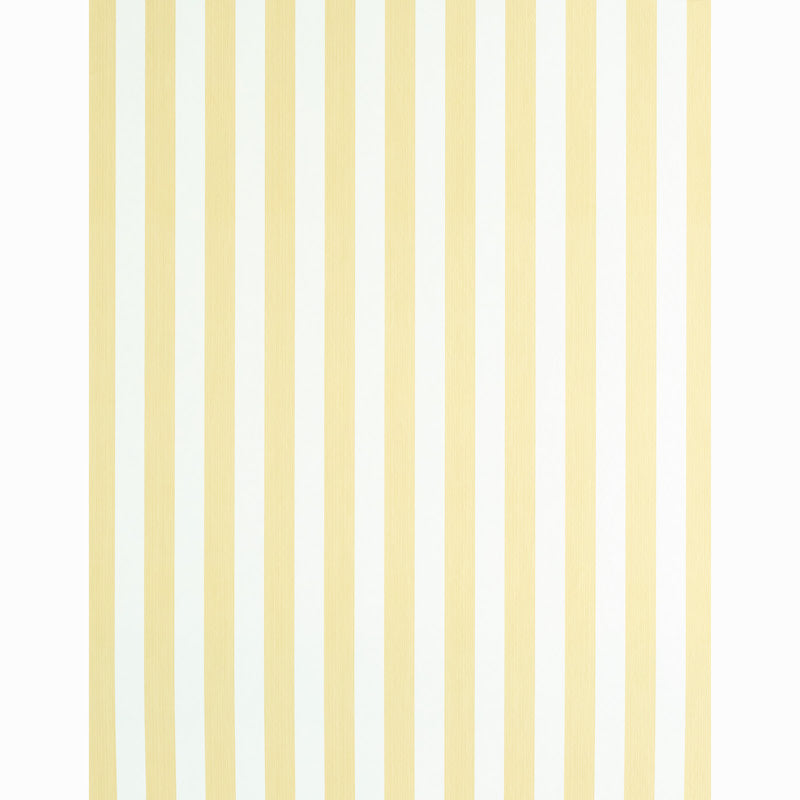 EDWIN STRIPE MEDIUM | Buttercup