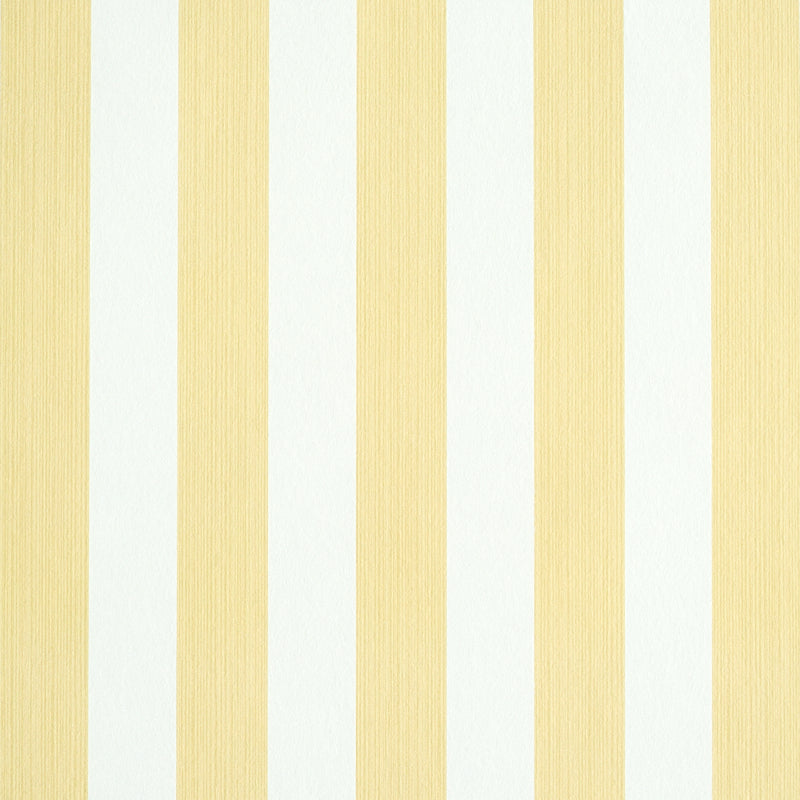 EDWIN STRIPE MEDIUM | BUTTERCUP