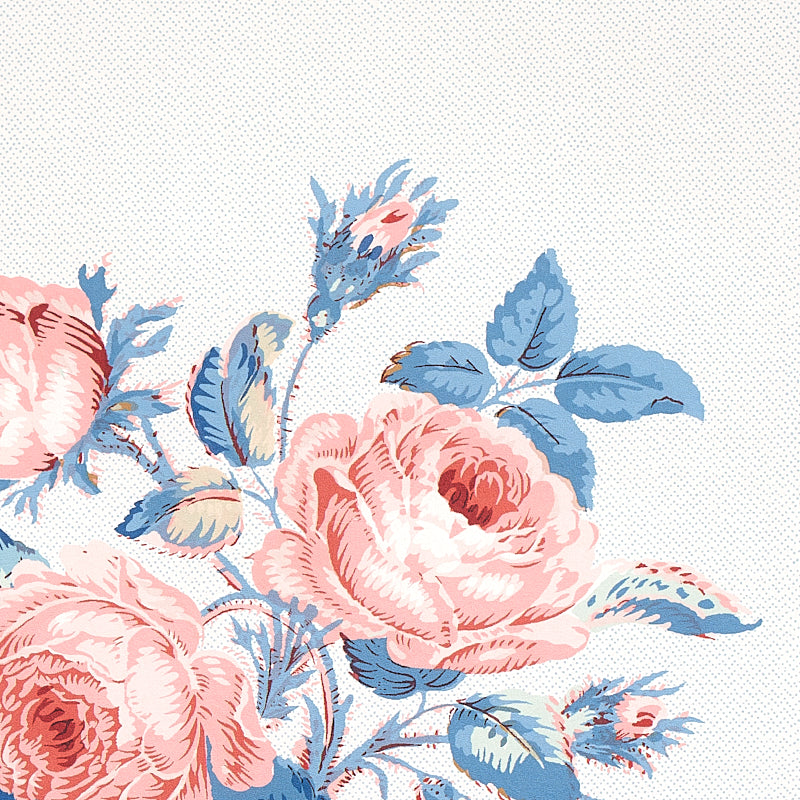 LOUDON ROSE | Rose & Blue