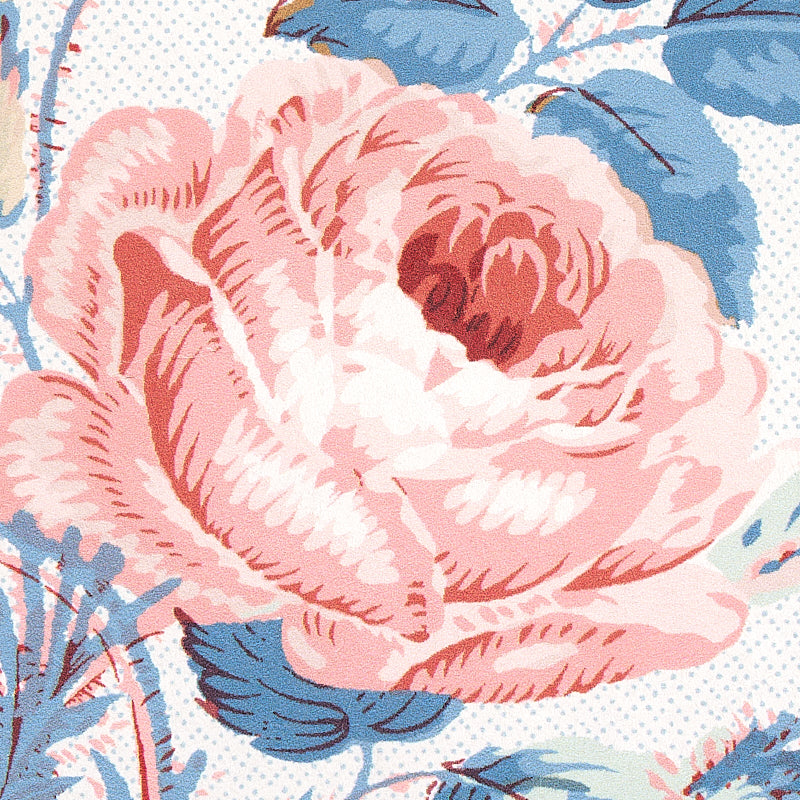 LOUDON ROSE | ROSE & BLUE