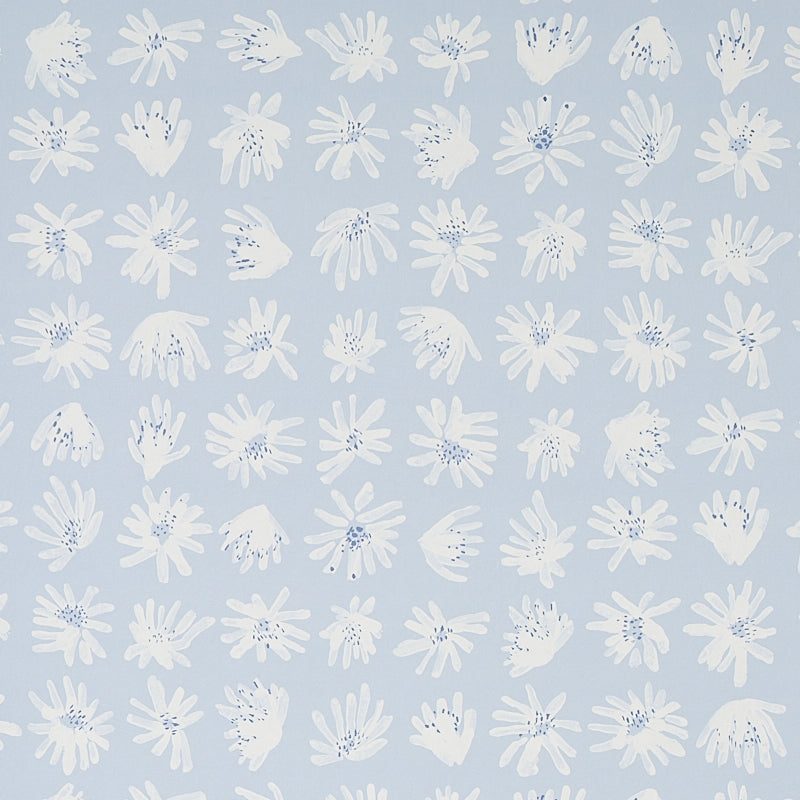 MEADOW ROCK | Sky