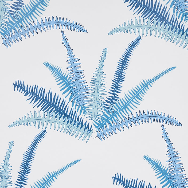 CANYON FERNS | Lagoon