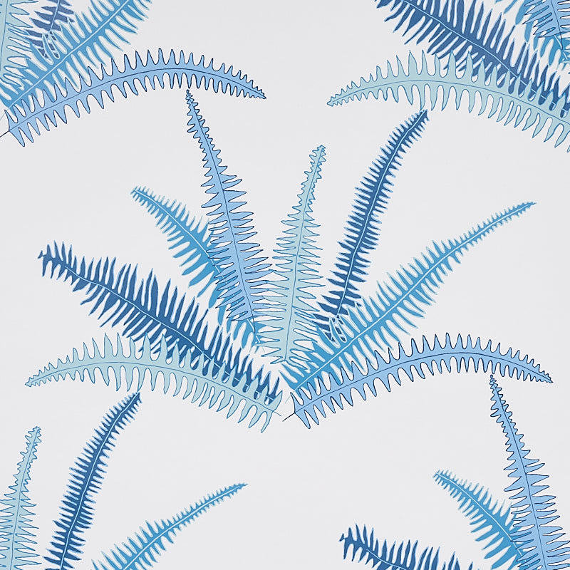 CANYON FERNS | LAGOON