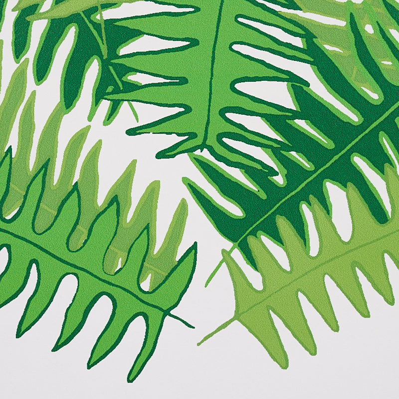 CANYON FERNS | Jungle