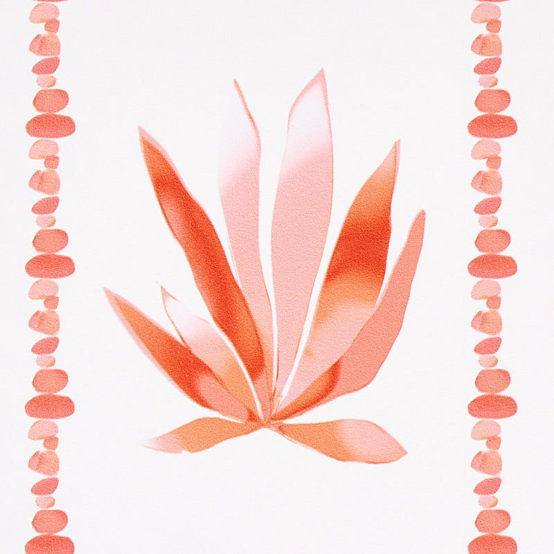 AGAVE STRIPE | Grapefruit