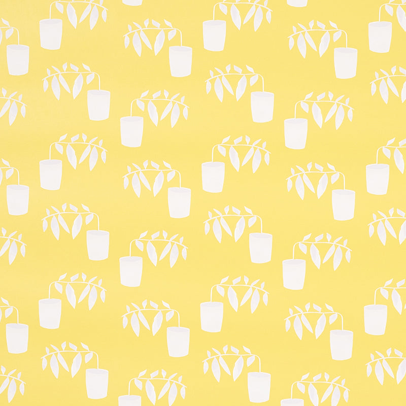 REACHING OUT | Lemonade