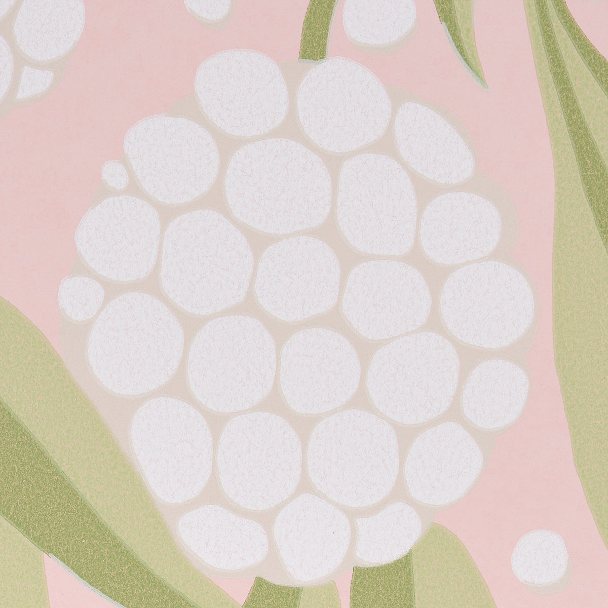 RUBUS | BLUSH