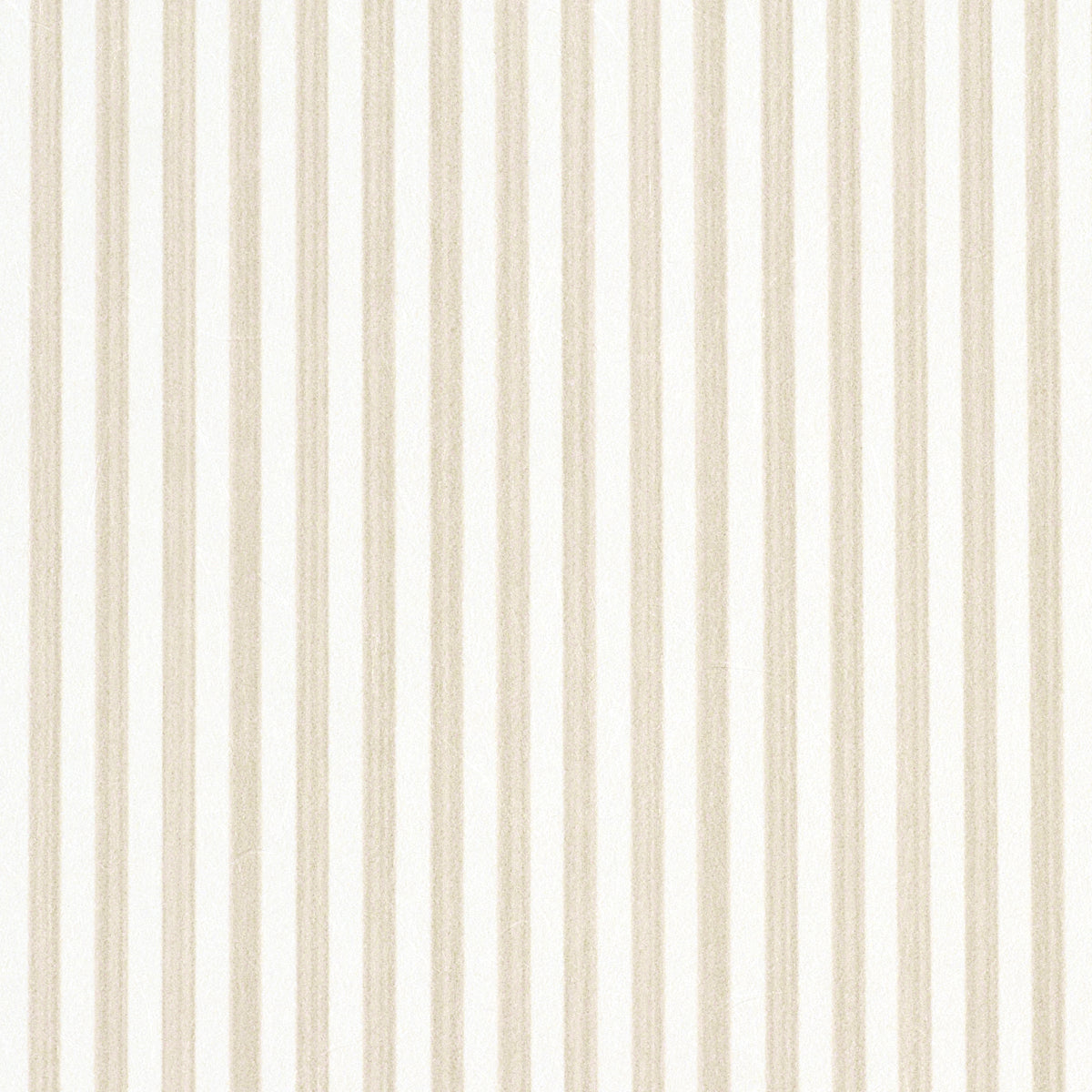 EDWIN STRIPE NARROW | STRAW