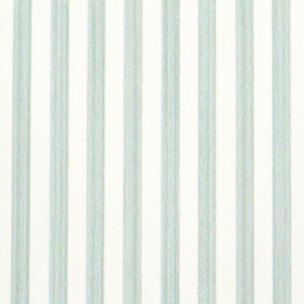 EDWIN STRIPE NARROW | Eucalyptus