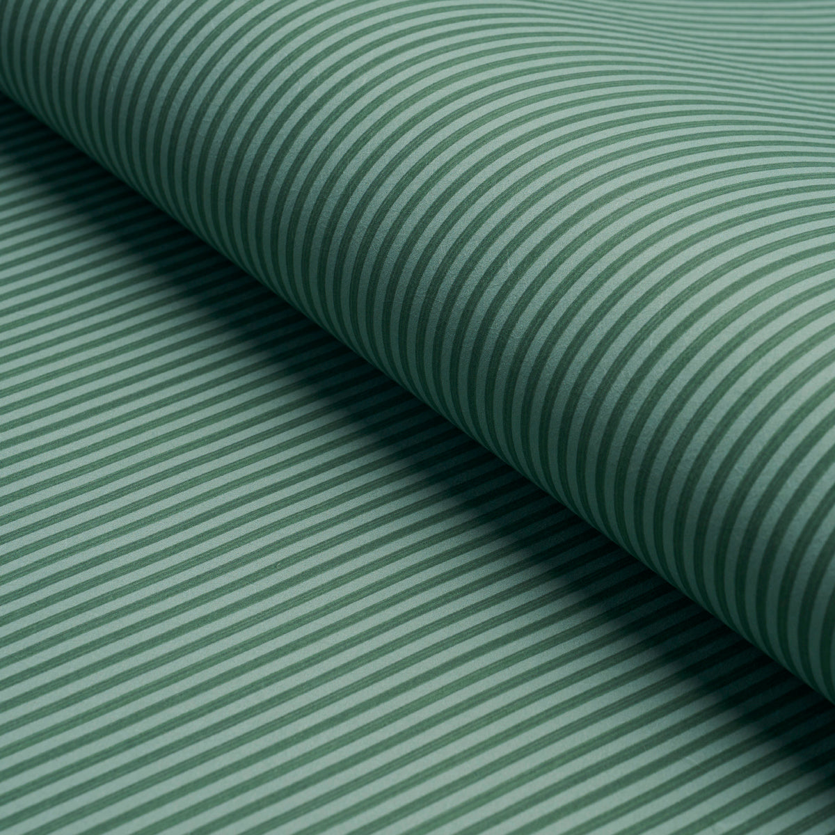 EDWIN STRIPE NARROW | DARK GREEN