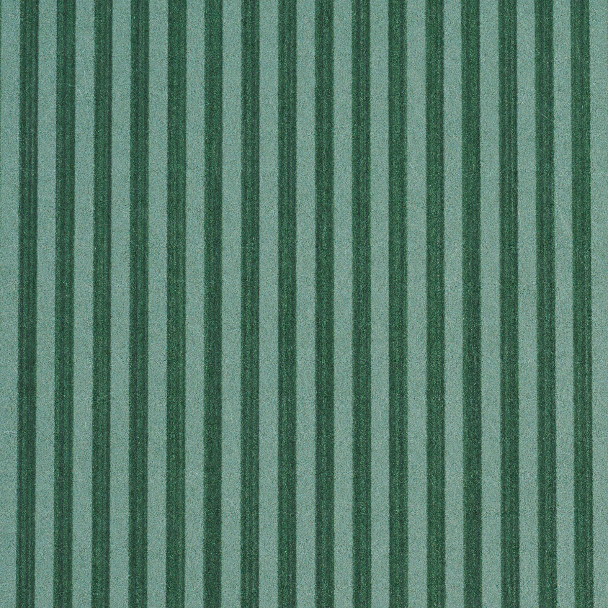 EDWIN STRIPE NARROW | DARK GREEN