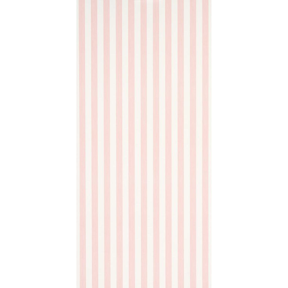 EDWIN STRIPE MEDIUM | Petal