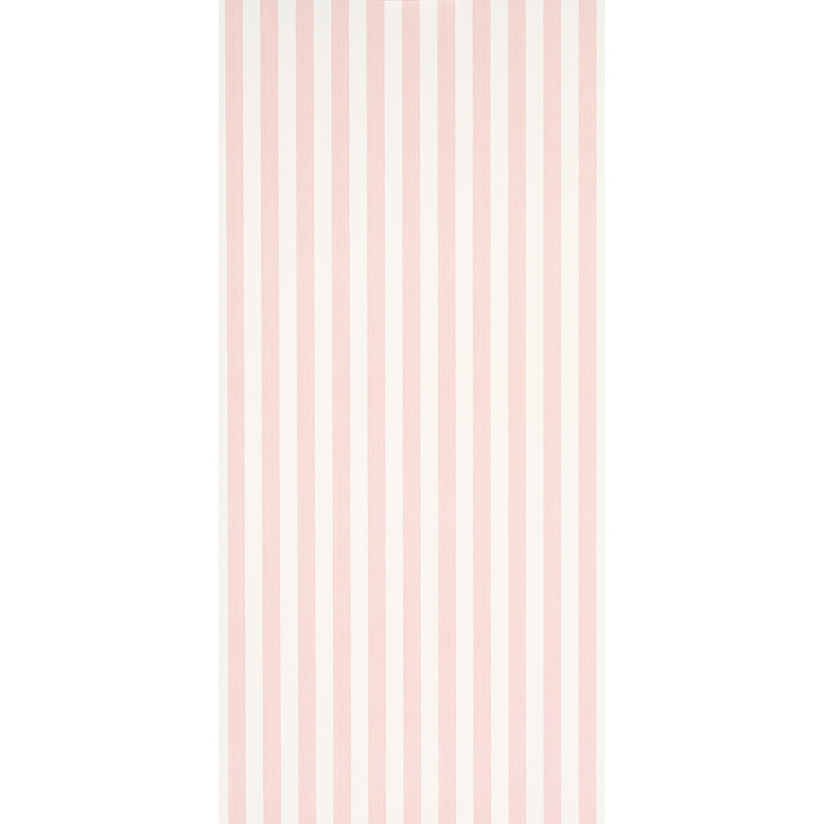 EDWIN STRIPE MEDIUM | PETAL