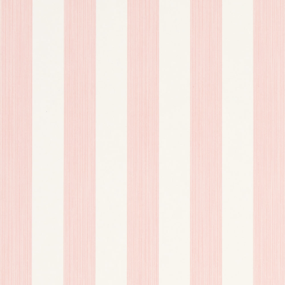 EDWIN STRIPE MEDIUM | Petal