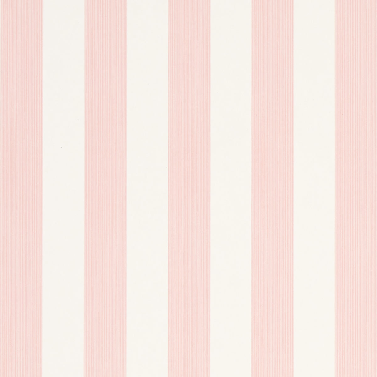 EDWIN STRIPE MEDIUM | PETAL