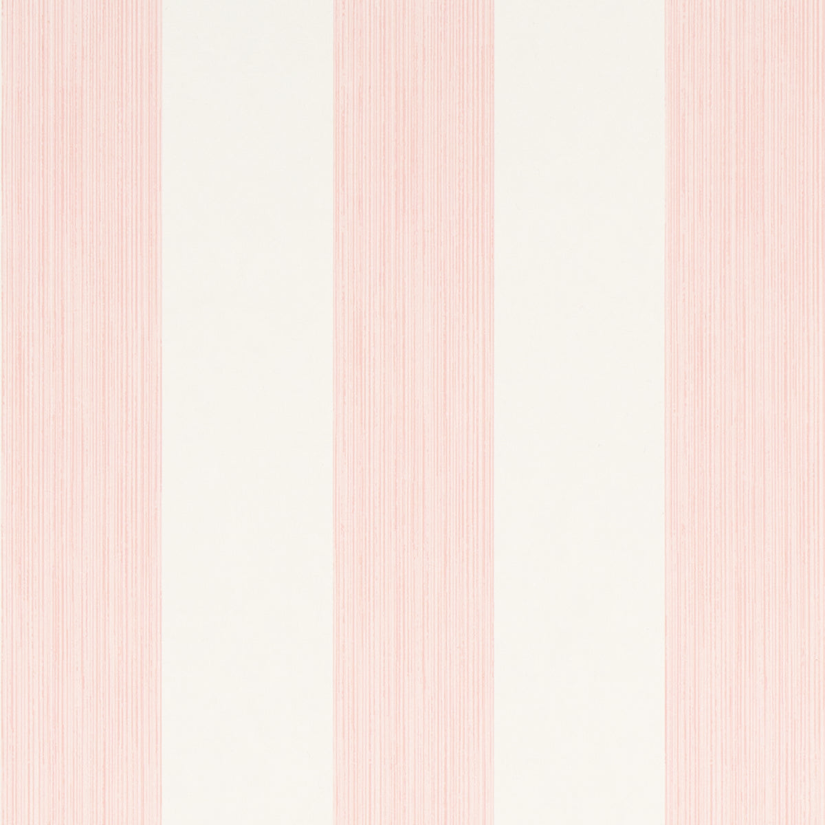 EDWIN STRIPE WIDE | PETAL