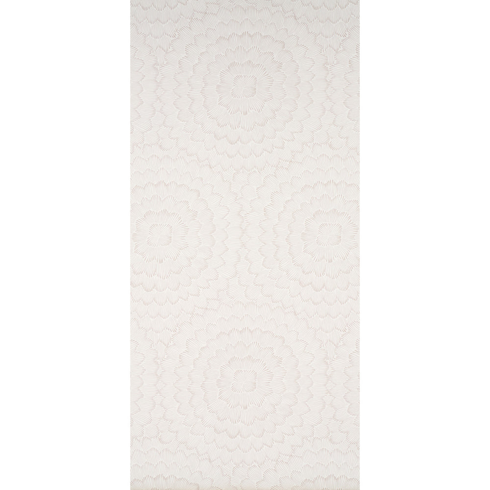 FEATHER BLOOM | Soft Neutral