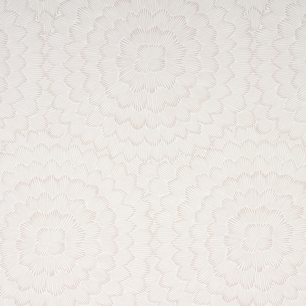 FEATHER BLOOM | Soft Neutral