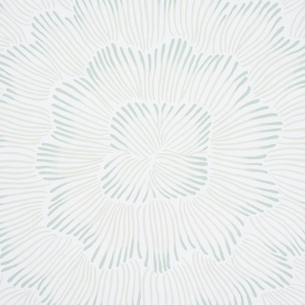 FEATHER BLOOM | Seaglass