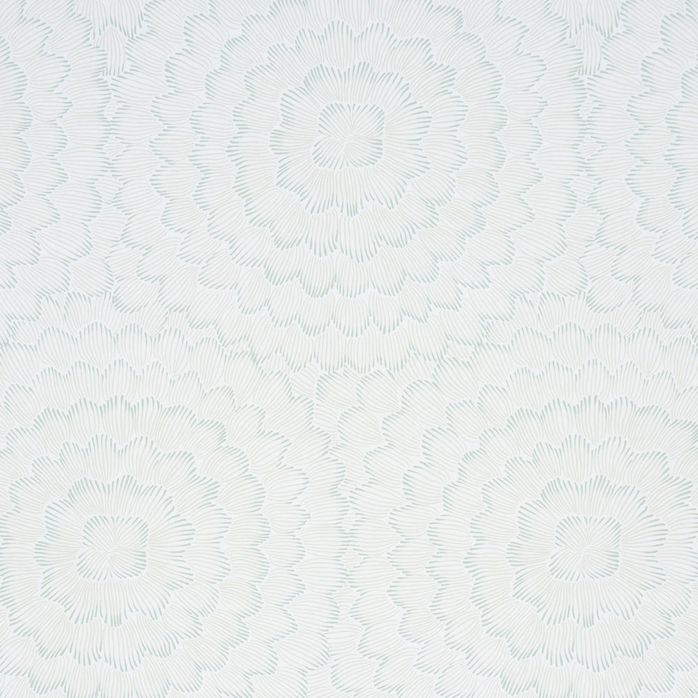 FEATHER BLOOM | Seaglass