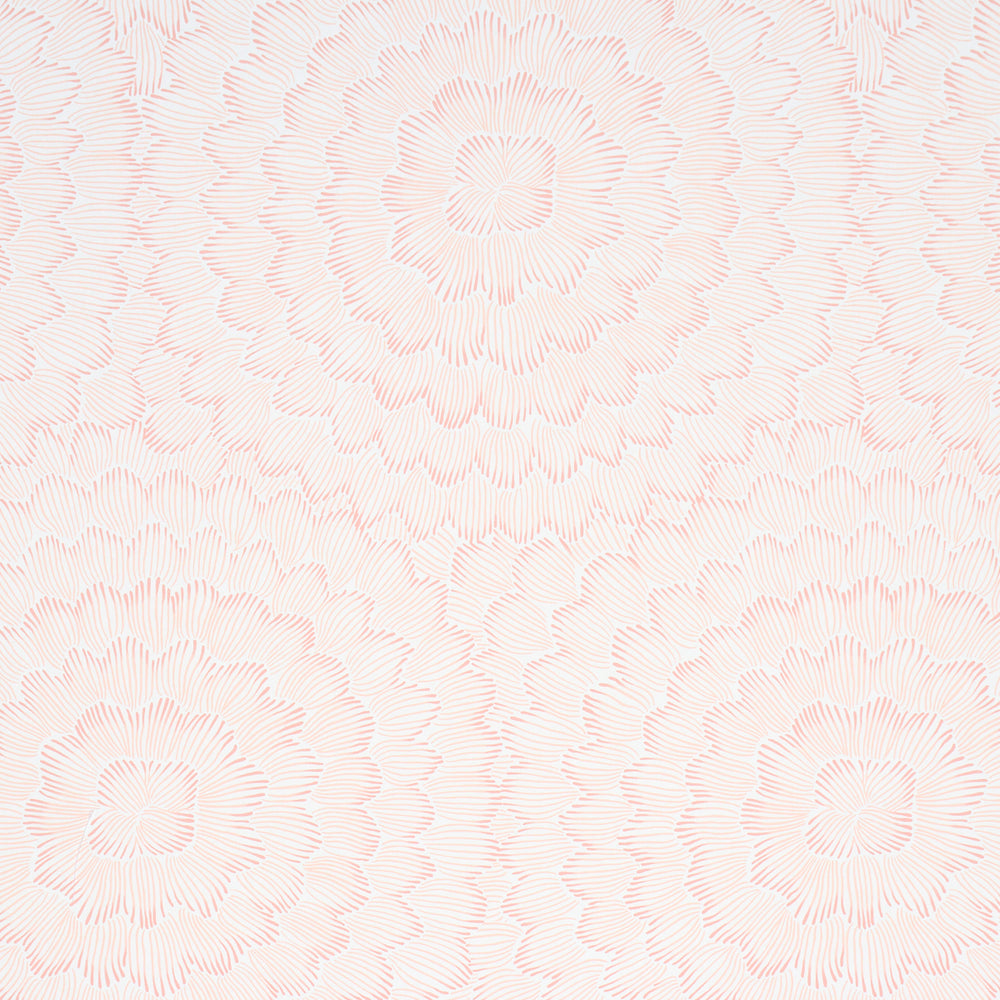 FEATHER BLOOM | Salmon