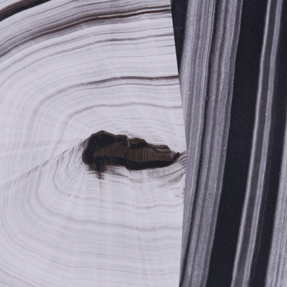 AGATE SLICE | Black And White