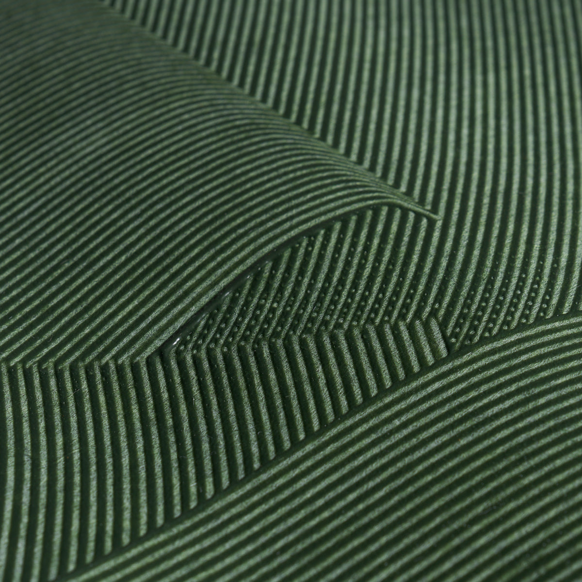 HAND COMBED PLASTER | Green Leaf