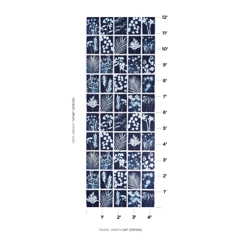 CYANOTYPE PANEL | Indigo