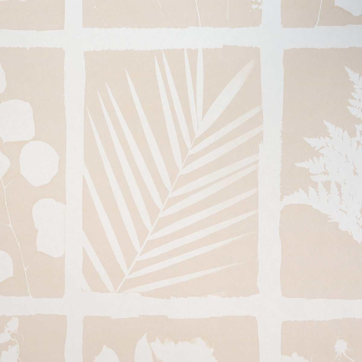 CYANOTYPE PANEL | Natural