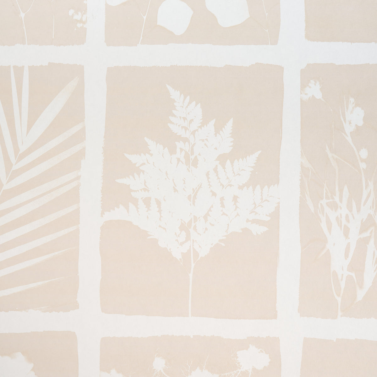 CYANOTYPE PANEL | Natural