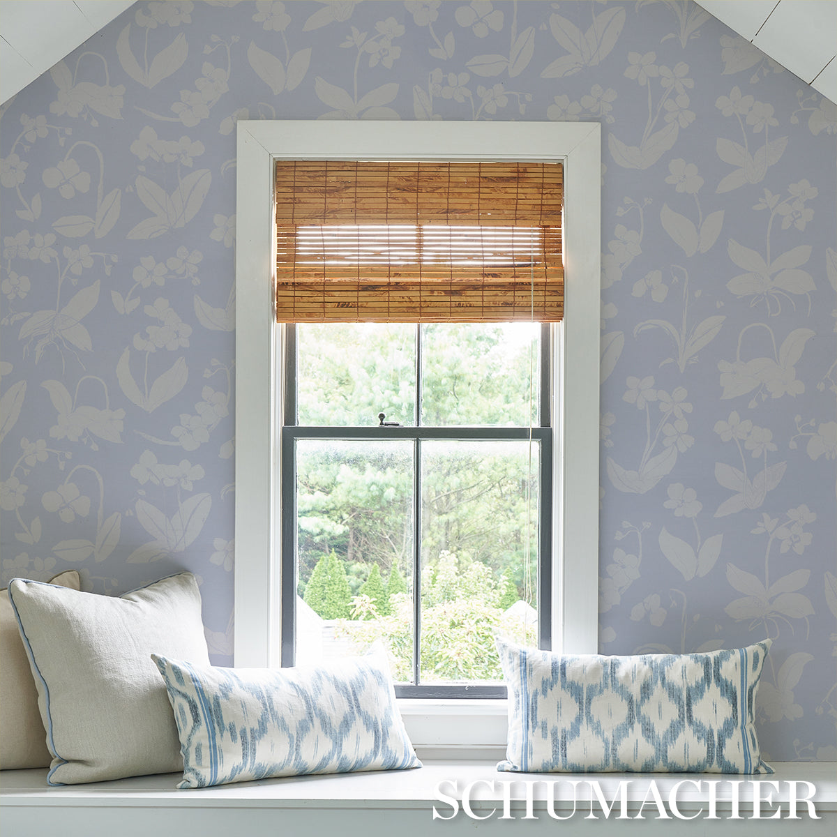 ORCHIDS HAVE DREAMS | Sky