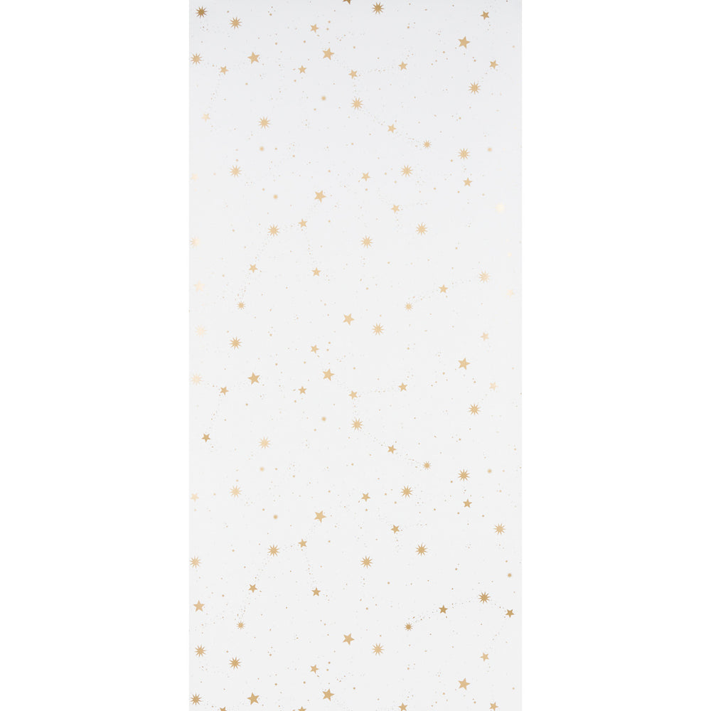 SCATTERED STARS | Ivory