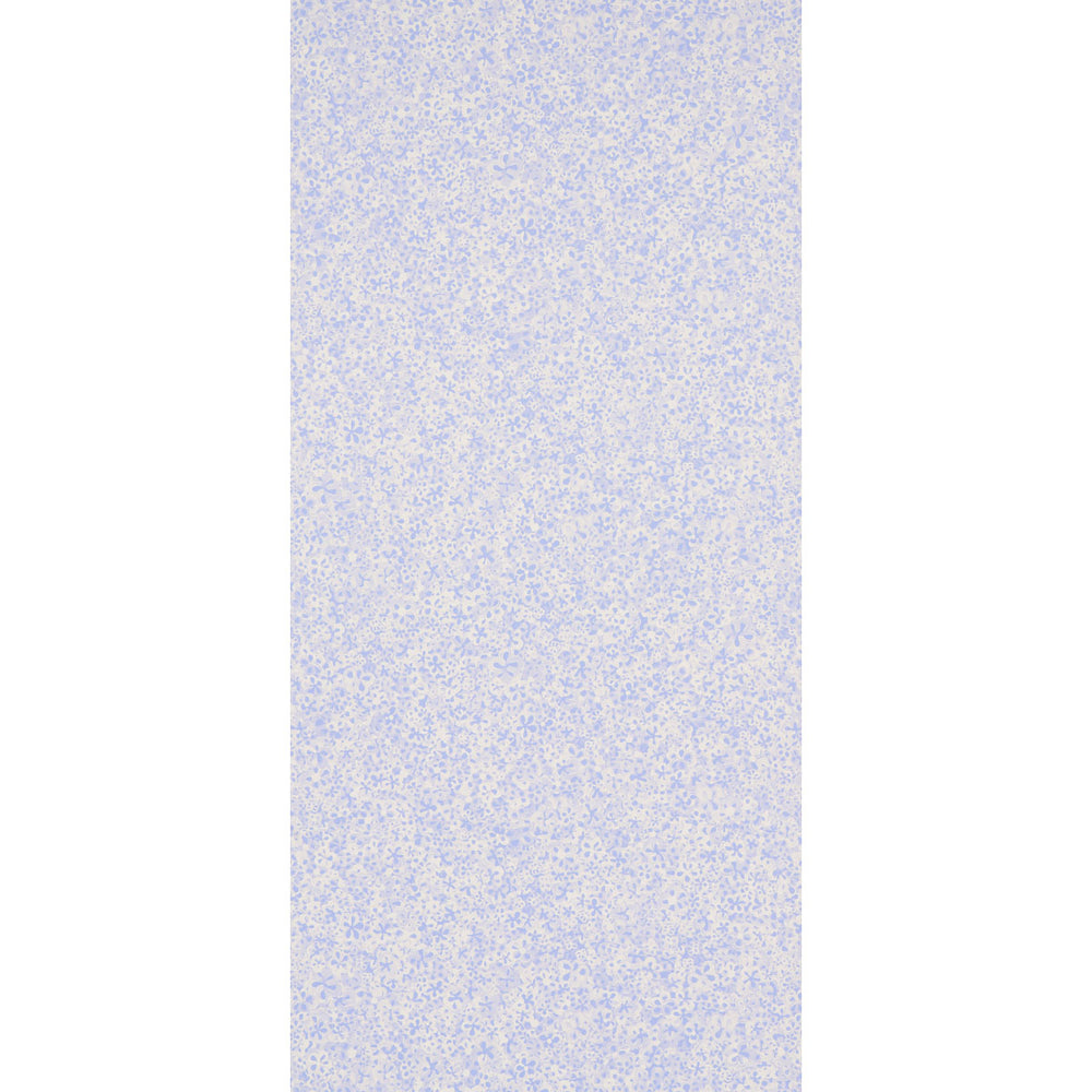 SUPERBLOOM | Cornflower