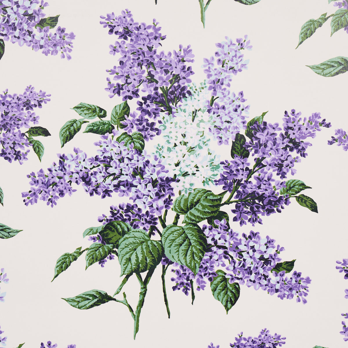 PROUST'S LILACS | PURPLE