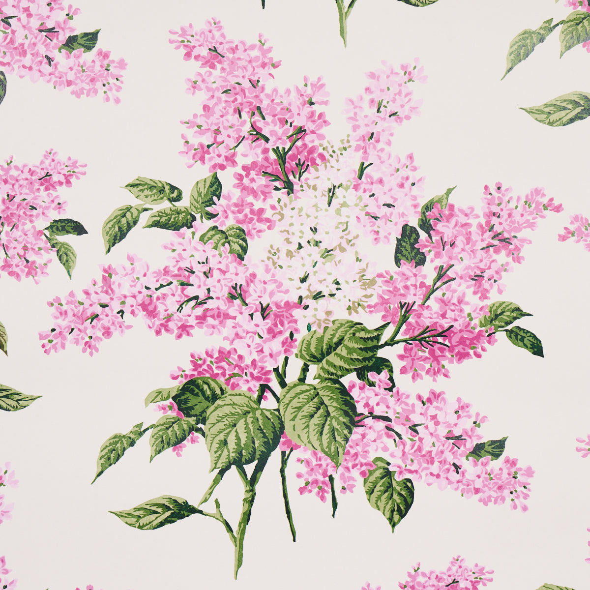 PROUST'S LILACS | Pink