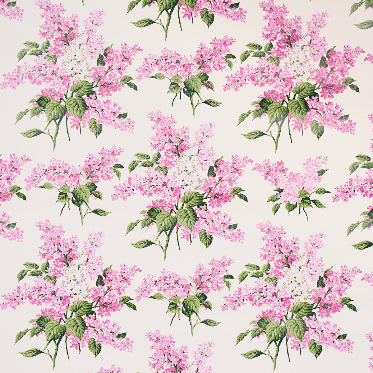 PROUST'S LILACS | PINK