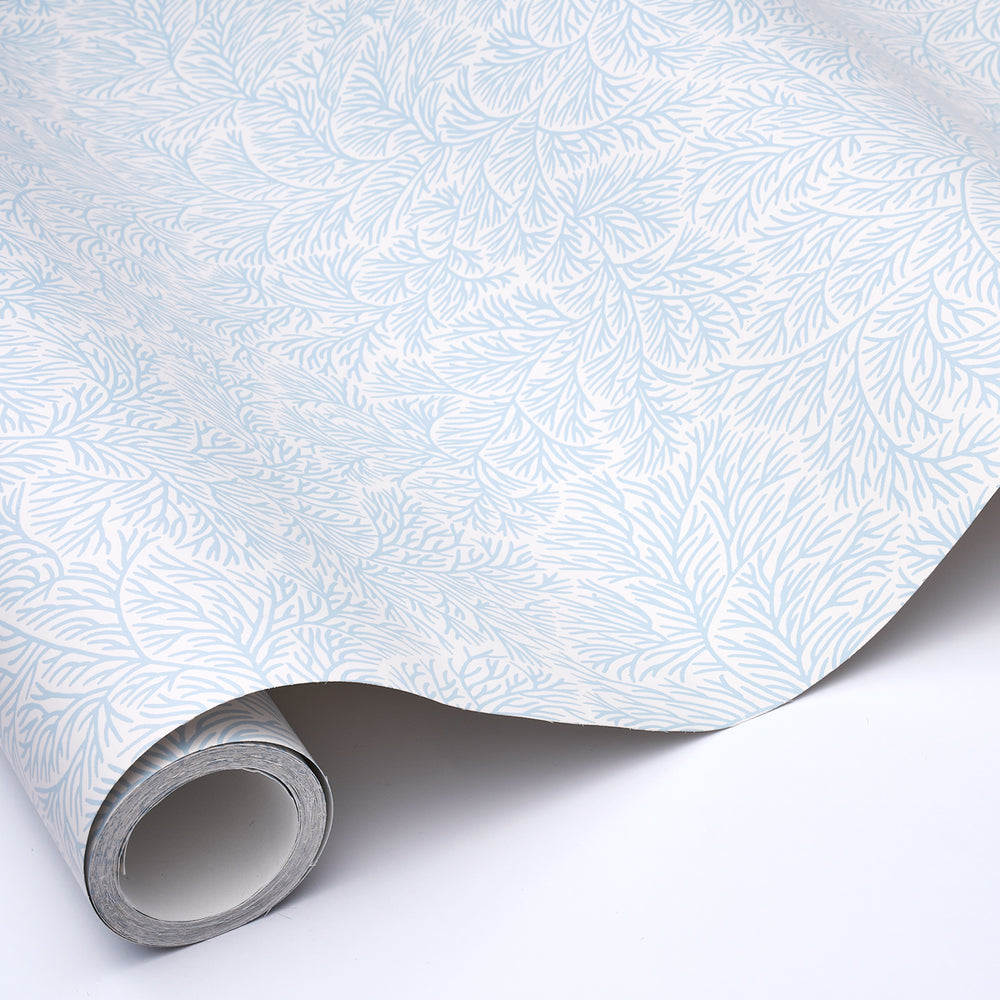 BOUGAINVILLEA | China Blue