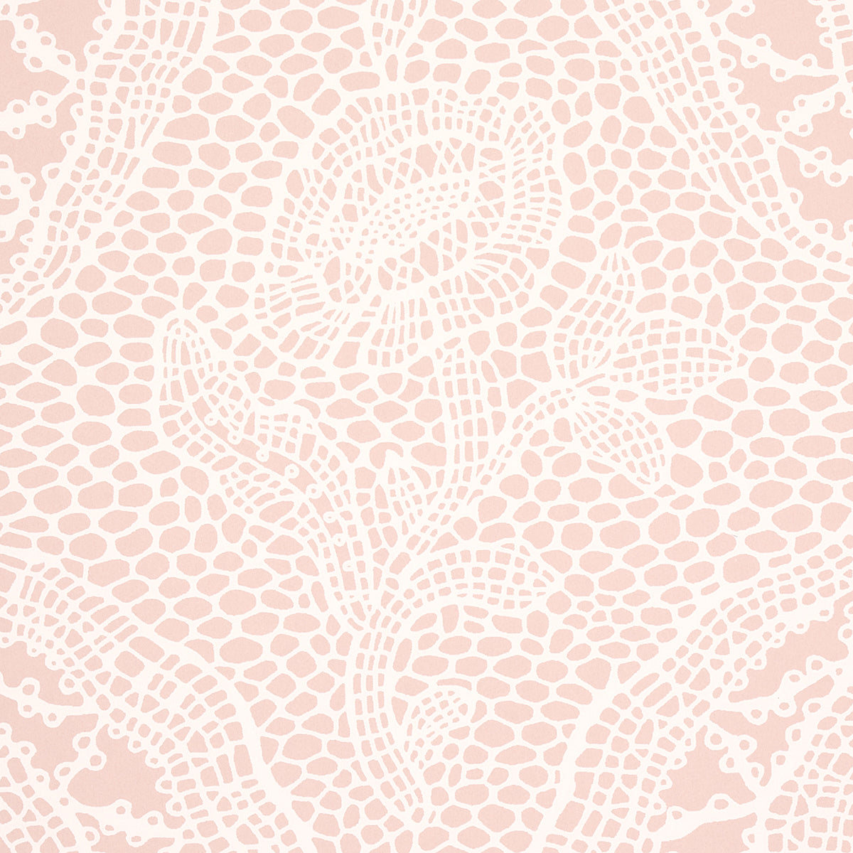 COSETTE LACE | Blush