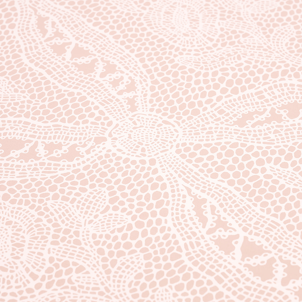 COSETTE LACE | Blush