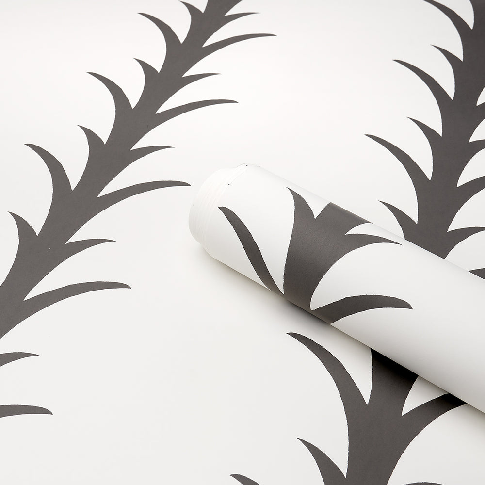 ACANTHUS STRIPE | Carbon On Ivory