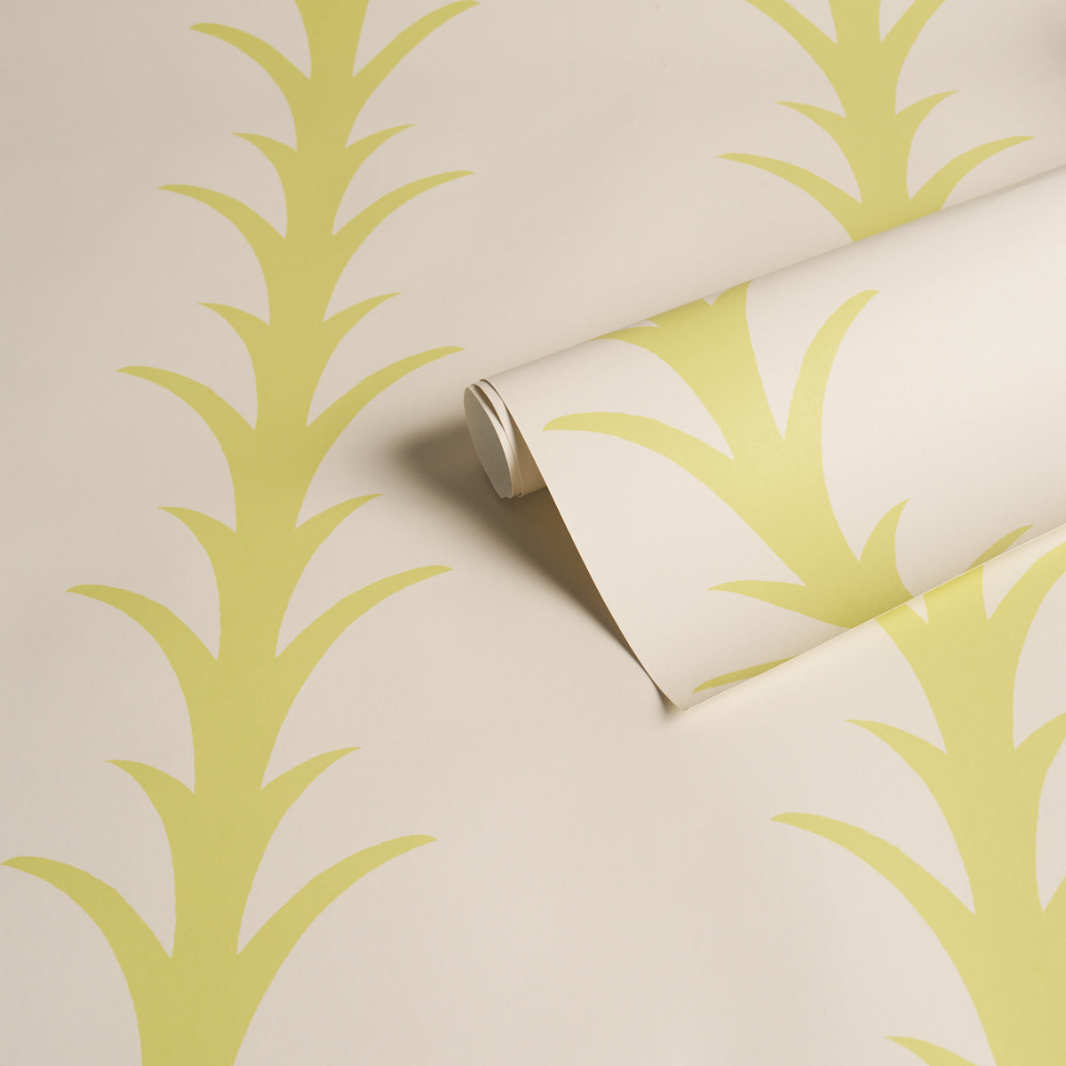 ACANTHUS STRIPE | Soleil On Sand