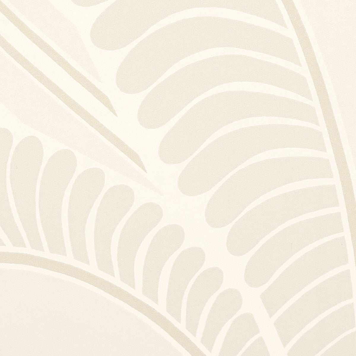 BANANA LEAF | IVORY