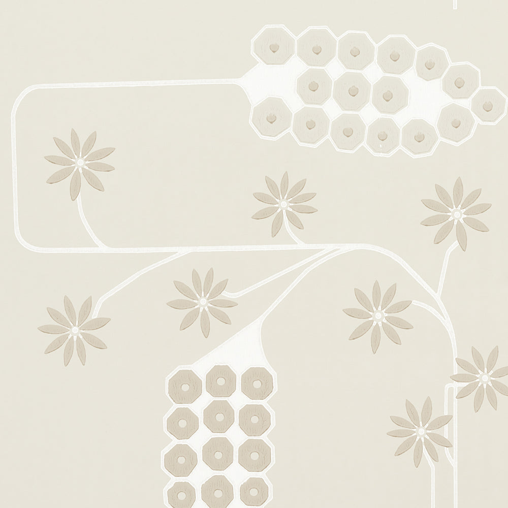 HOLLYWOOD GRAPE | Gesso